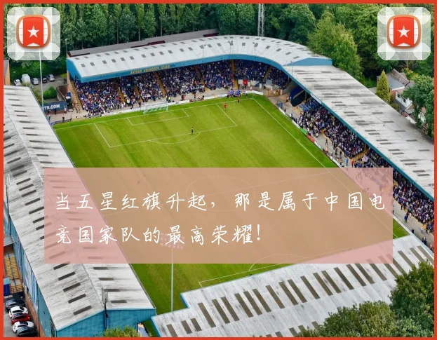 当五星红旗升起，那是属于中国电竞国家队的最高荣耀！